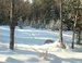 Img43781_square
