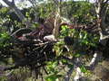 Pict0014_small