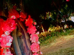 Piece image