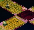 10677535_small