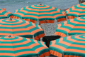 Umbrella_small