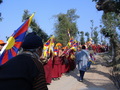 200803100044_small