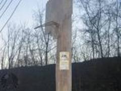 Piece image