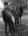 Gratefuldeadbw202400_small