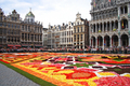 Brusselsflowercarpet_small