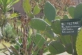 Img0143bioprospectingphoto1_small