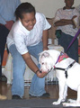 Animalfrontpage_small