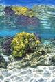44nationaloceanprotectionact_small