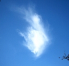 Piece image