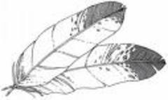 Images1_medium