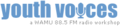 Yvlogo_small