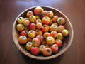 Ashmeadkernalapples_small