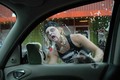 Zombie_carwash_1_small
