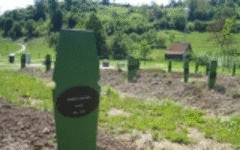 Piece image