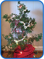 Charlie_brown_small