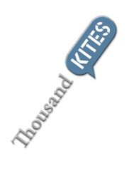 Caption: Thousand Kites