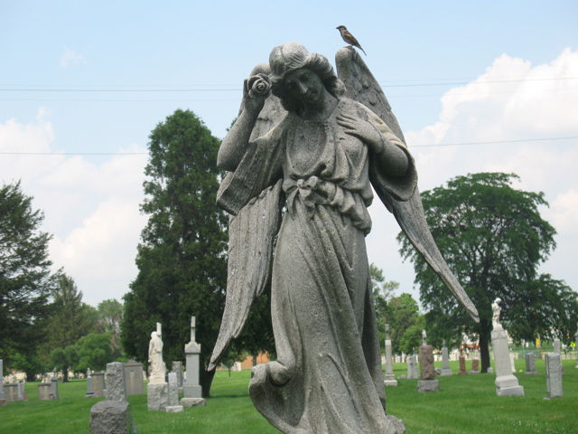 Piece image