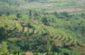 Ngoma_small