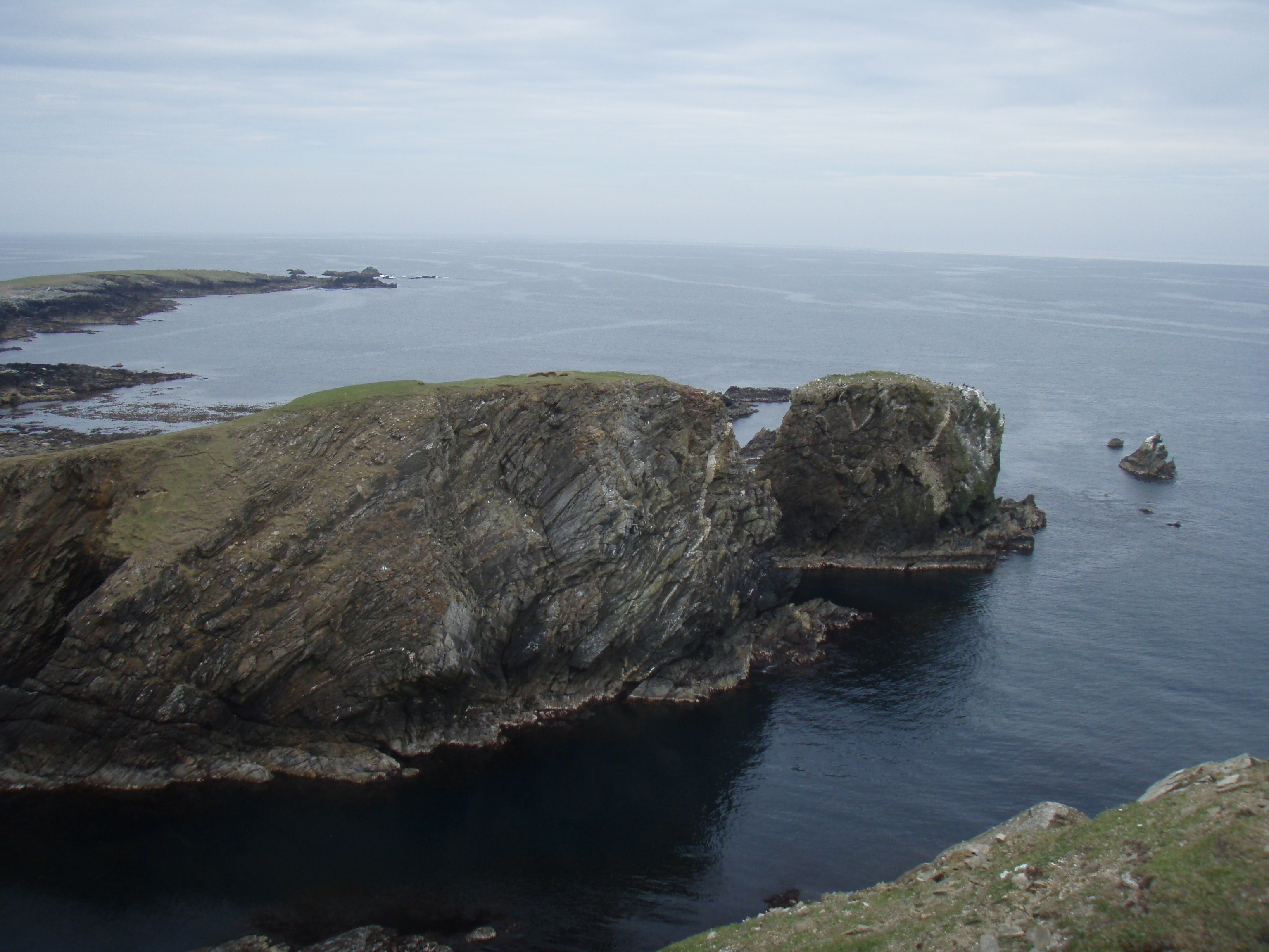 Caption: Shetland coastline, Credit: Volker Deecke