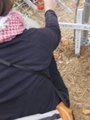 Soa_small