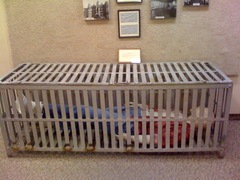 Restraintcage_medium