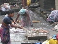 Slumdog_millionaire_small