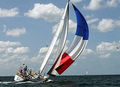 2005469_1_small