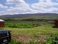 Farm_small
