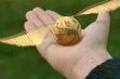 Images-1_small