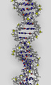Dna_small