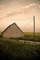 Hayride1_small
