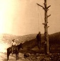 Hayride19_small