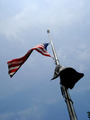 Wnr090529-halfmast_small