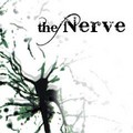 Thenerve-240x240_small
