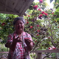 Espyliptree_small