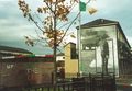 Belfastwalldiane_small