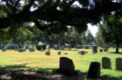 Piece image