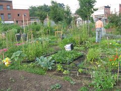 Caption: Two Coves Community Garden, Credit: Magali Regis