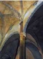 Saintly160view_small