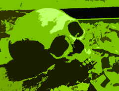 Piece image