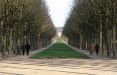 Piece image