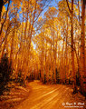 Colorado_fall-c09_30_2003_l4_9362b-700_small