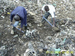 View-of-garbage-on-plot-300x225_square