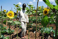 Farm_small