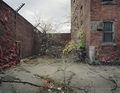 Image006_small