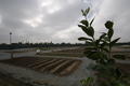 Episode_pic_for__45-09_small