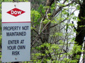 Duffydow_small