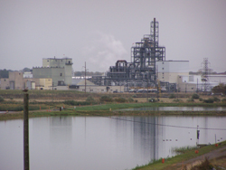 Caption: The southeast corner of the Dow Chemical plant, from the vantage  of Midland's Whiting Overlook Park, which features an homage to and  history of the company and its founder., Credit: Shawn Allee