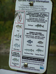 Caption: Fish advisories dot the banks of the Tittabawassee and Saginaw Rivers. Various forms or pollution, including historical dioxin pollution from Dow Chemical, have led to warnings to avoid certain species of fish and limit consumption for them. Pregnant w, Credit: Shawn Allee