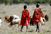 Boys_herding_square